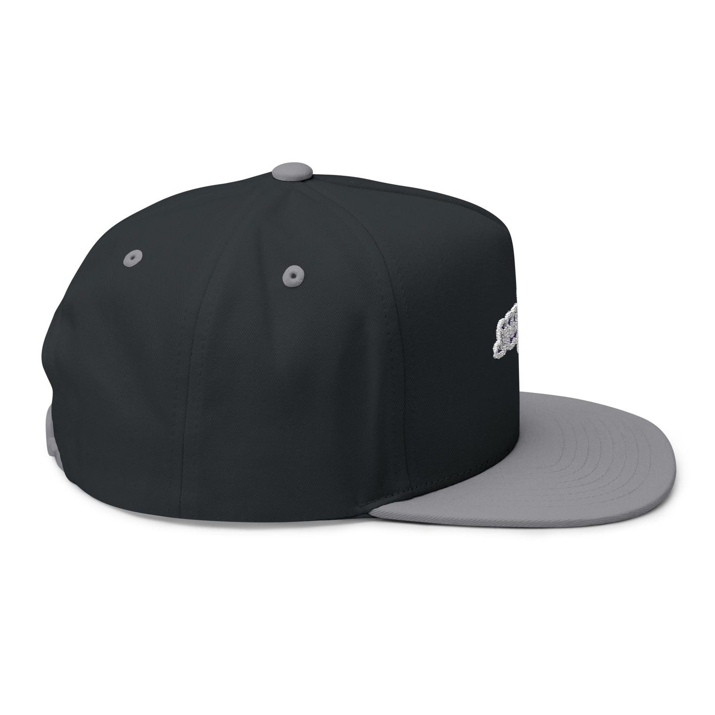Swifted Aesthetic Flat bill cap