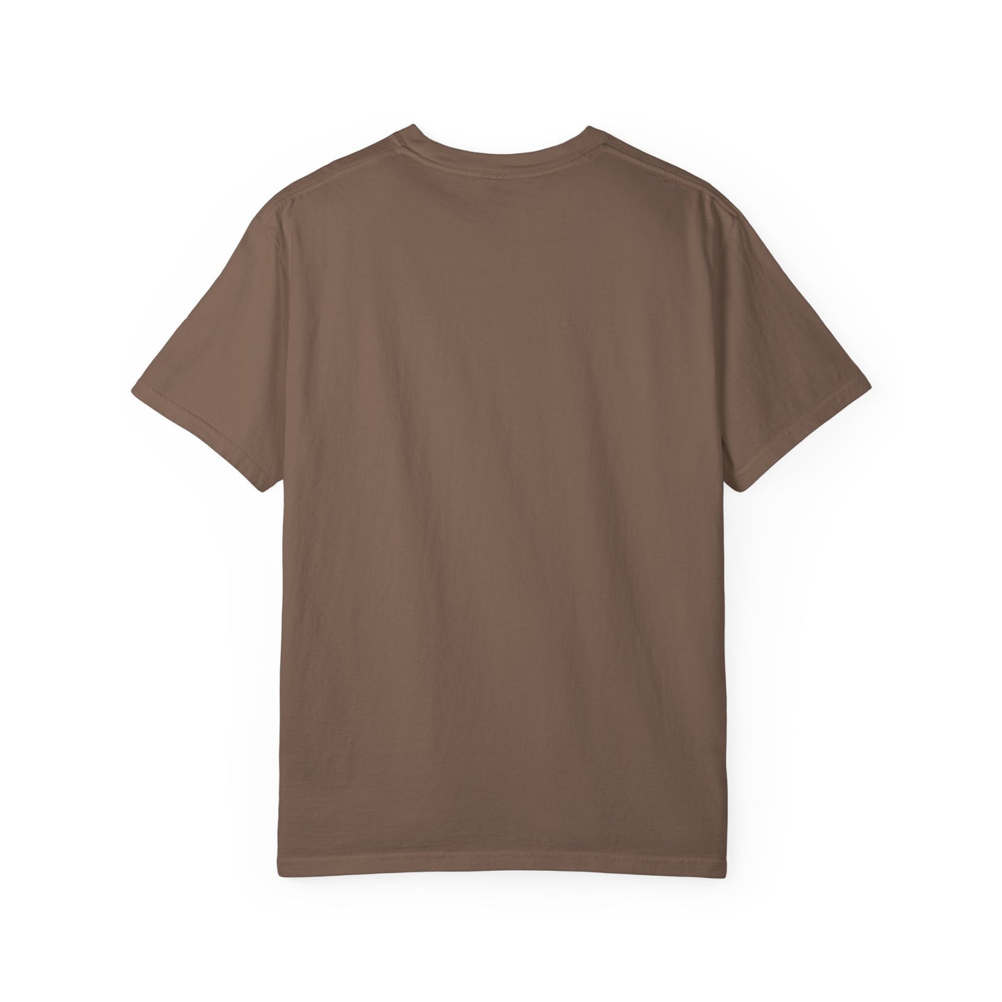 Unisex Garment-Dyed T-shirt – Snazzy No Argument Edition