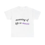 Feel the Music Vibe Unisex Heavy cotton tee