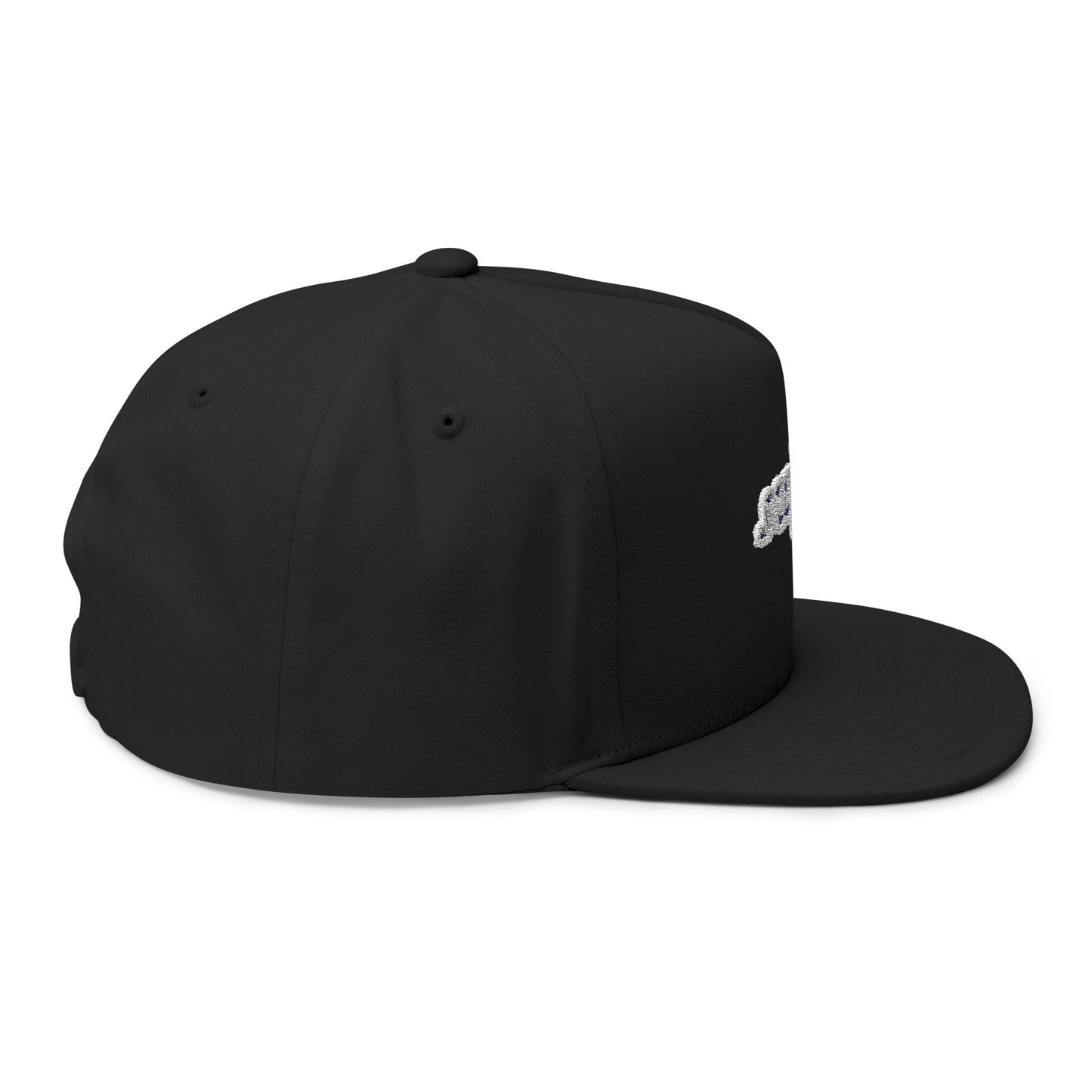 Swifted Aesthetic Flat bill cap