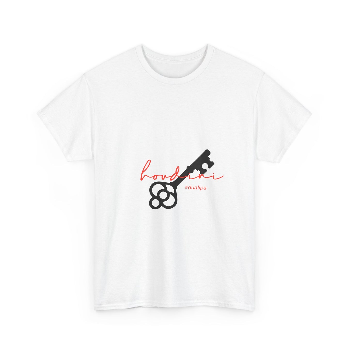 Cursive Spell “Houdini” Unisex Heavy Cotton Tee