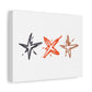 Starlit Threads Matte Canvas