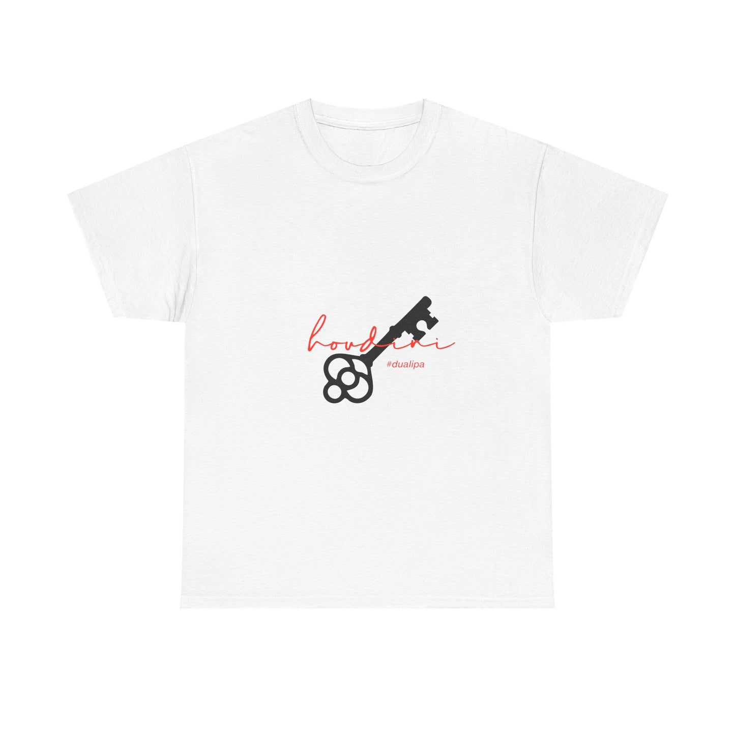 Cursive Spell “Houdini” Unisex Heavy Cotton Tee