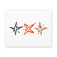 Starlit Threads Matte Canvas