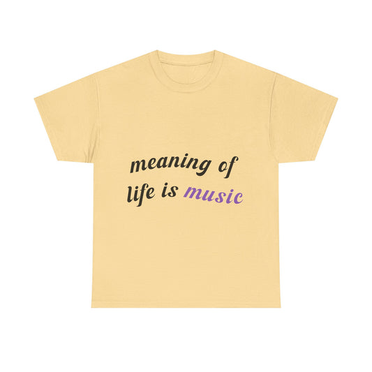 Feel the Music Vibe Unisex Heavy cotton tee